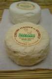 Chvre demi-doux (fromage)