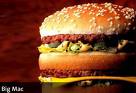 Big mac (portion=219g)